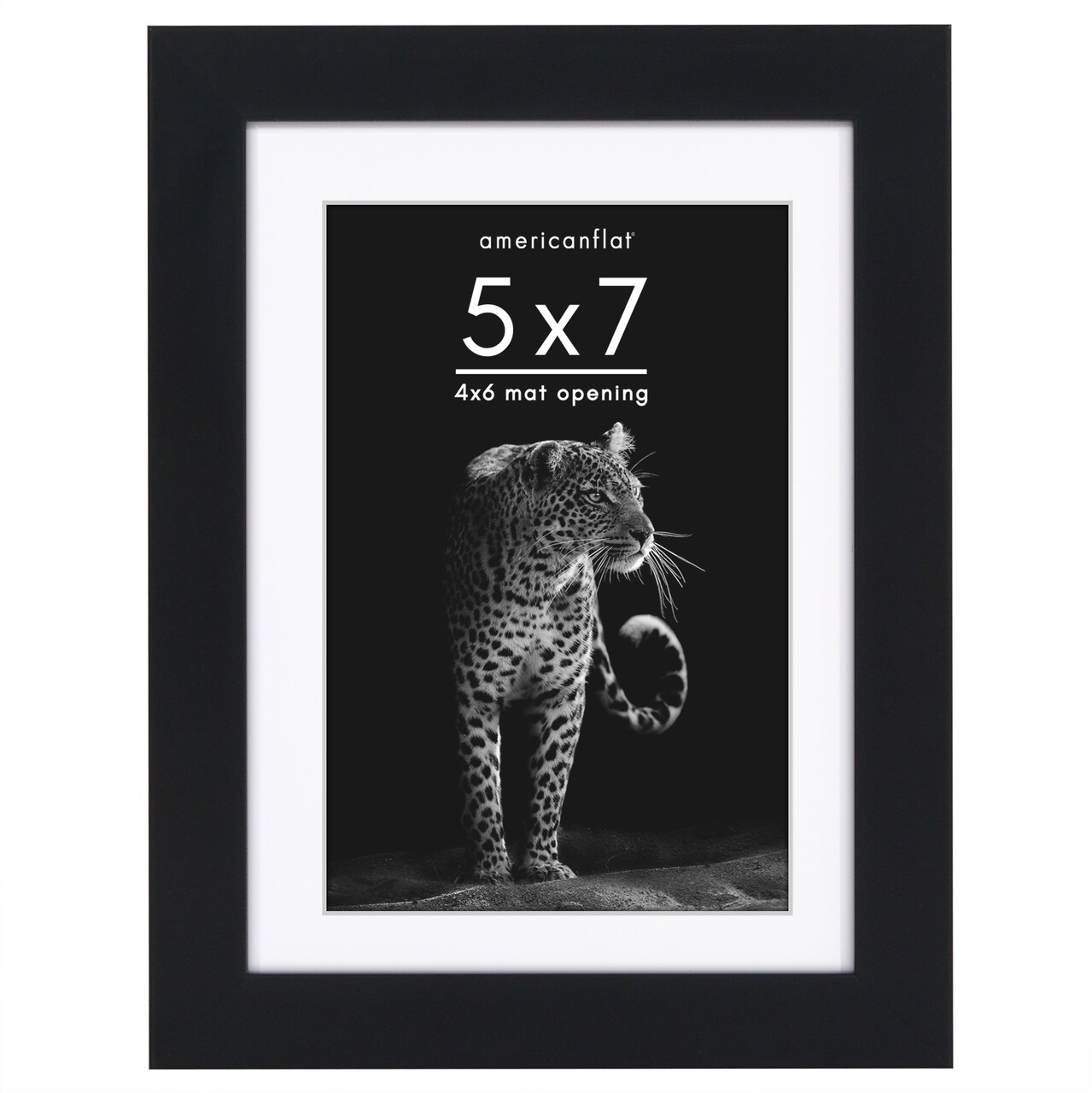 Americanflat Gallery-Style Picture Frame with Mat - Showcase Artwork, Prints, and Photos - Shatter Resistant Glass - Hanging Hardware with Drywall Anchor